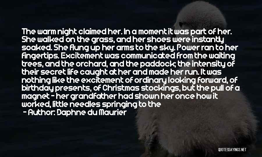 Caught In The Moment Quotes By Daphne Du Maurier