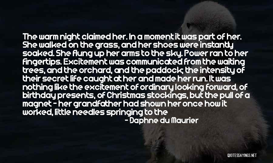 Caught In The Moment Quotes By Daphne Du Maurier