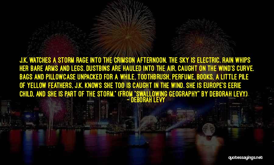 Caught In The Rain Quotes By Deborah Levy Caught In The Rain Quotes By Deborah Levy