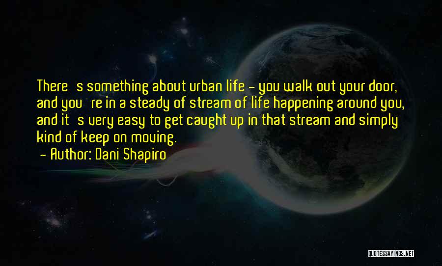 Caught Up In Life Quotes By Dani Shapiro