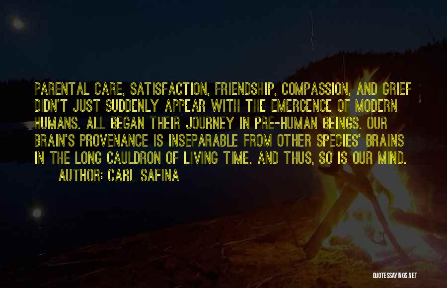Cauldron Quotes By Carl Safina
