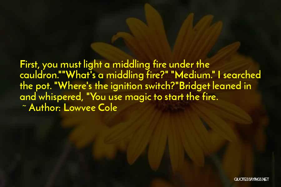 Cauldron Quotes By Lowvee Cole