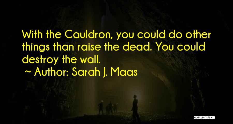 Cauldron Quotes By Sarah J. Maas