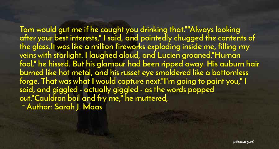 Cauldron Quotes By Sarah J. Maas