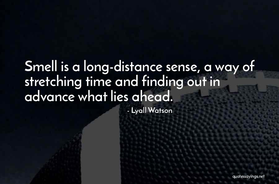 Caulford Ceiling Quotes By Lyall Watson Caulford Ceiling Quotes By Lyall Watson
