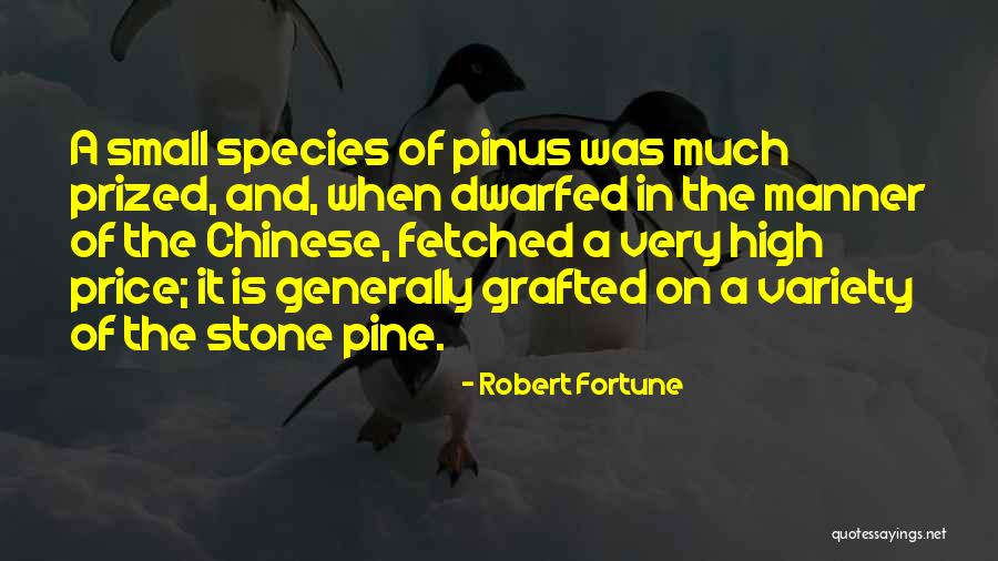Causalidade De Granger Quotes By Robert Fortune Causalidade De Granger Quotes By Robert Fortune