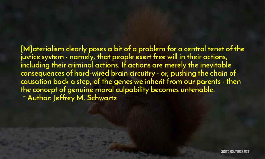 Causation Quotes By Jeffrey M. Schwartz