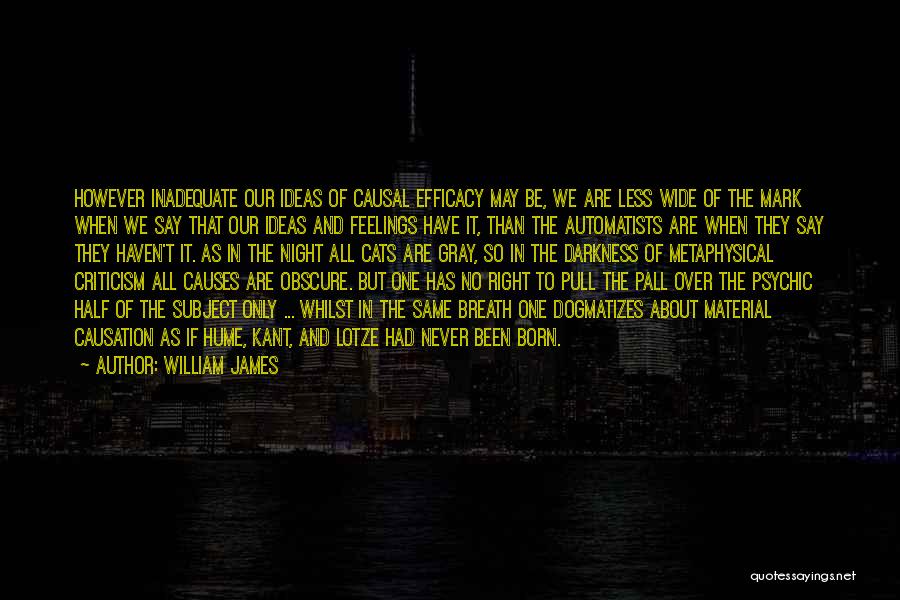 Causation Quotes By William James