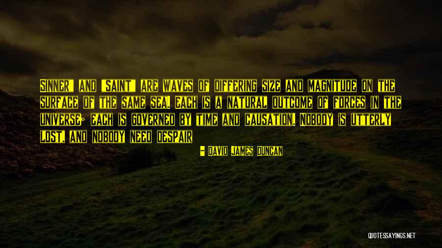 Causation Versus Quotes By David James Duncan Causation Versus Quotes By David James Duncan