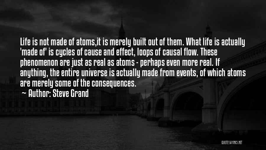Cause And Effect Quotes By Steve Grand