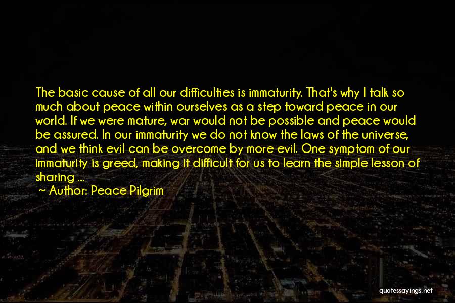 Cause Of Evil Quotes By Peace Pilgrim