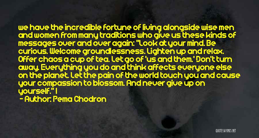 Cause Of Pain Quotes By Pema Chodron