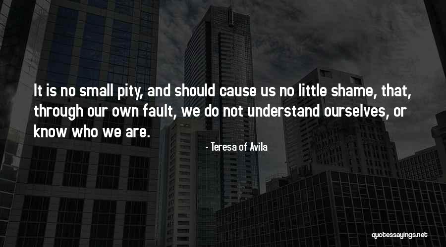 Cause Of Quotes By Teresa Of Avila Cause Of Quotes By Teresa Of Avila