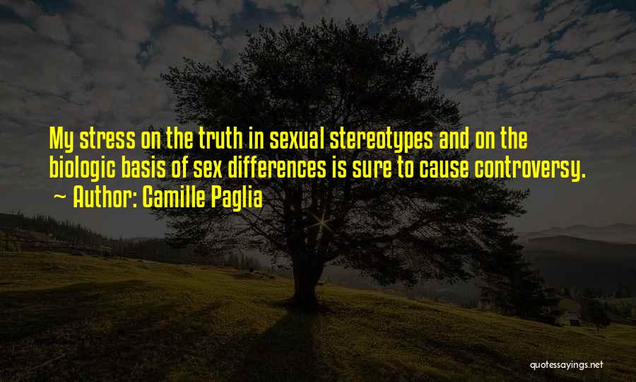 Cause Of Stress Quotes By Camille Paglia