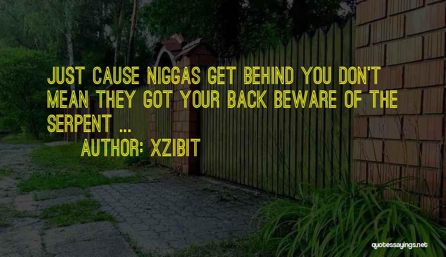 Cause Of You Quotes By Xzibit
