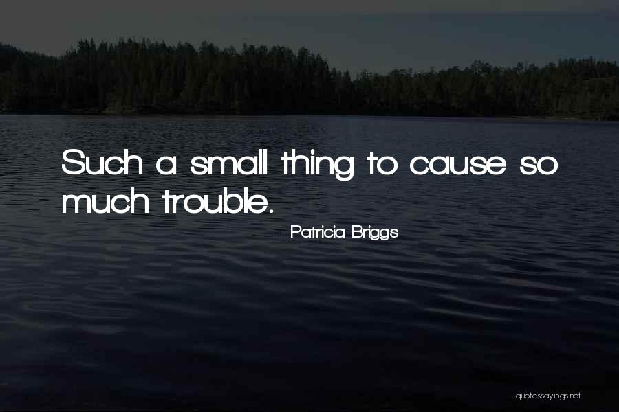 Cause Trouble Quotes By Patricia Briggs Cause Trouble Quotes By Patricia Briggs