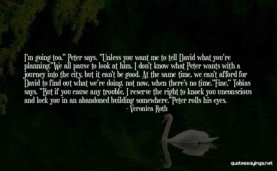 Cause Trouble Quotes By Veronica Roth Cause Trouble Quotes By Veronica Roth