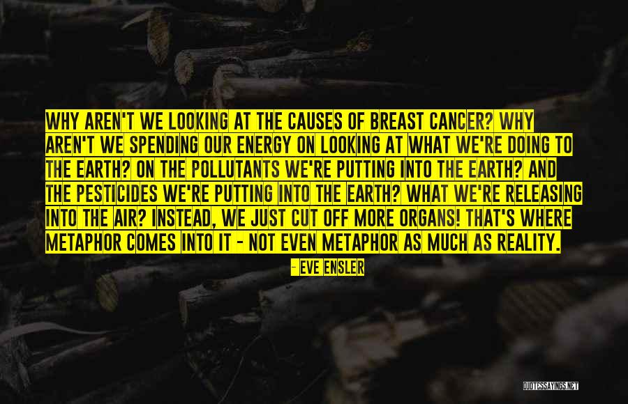 Causes Of Cancer Quotes By Eve Ensler Causes Of Cancer Quotes By Eve Ensler