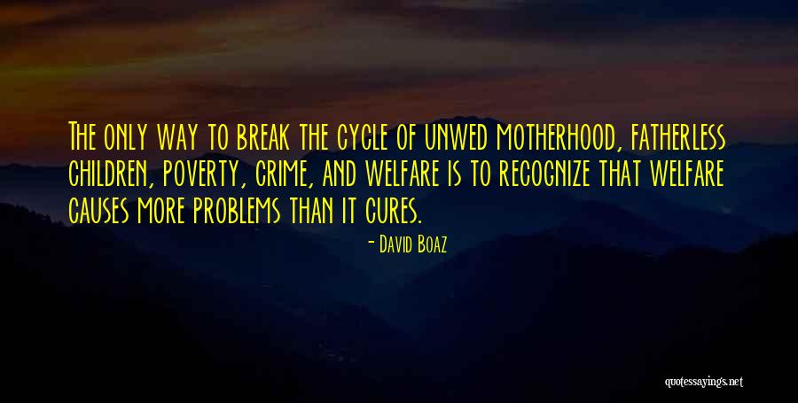 Causes Of Crime Quotes By David Boaz