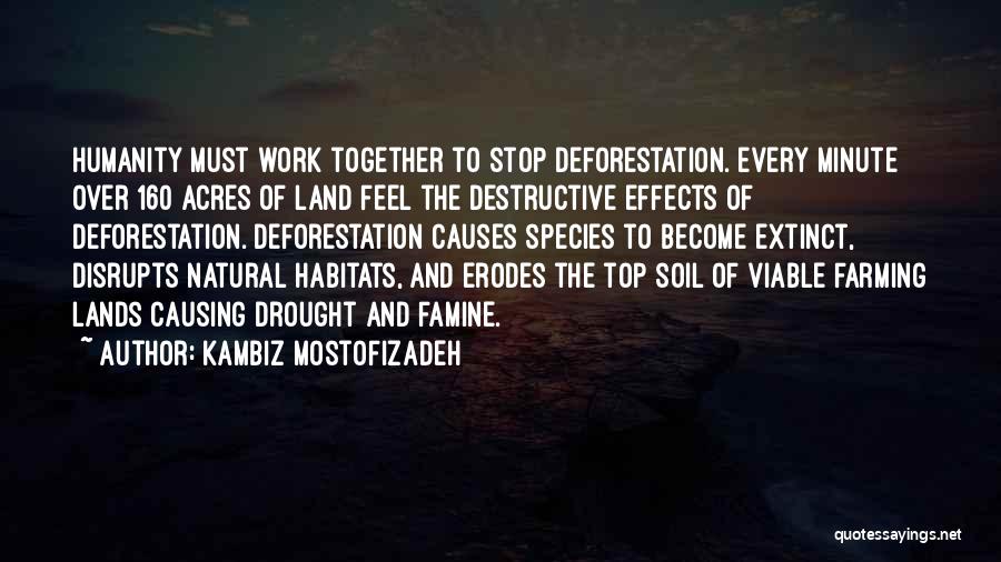 Causes Of Deforestation Quotes By Kambiz Mostofizadeh