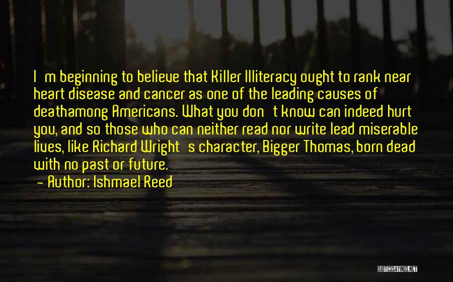 Causes Of Illiteracy Quotes By Ishmael Reed