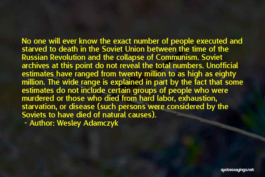 Causes Of Revolution Quotes By Wesley Adamczyk