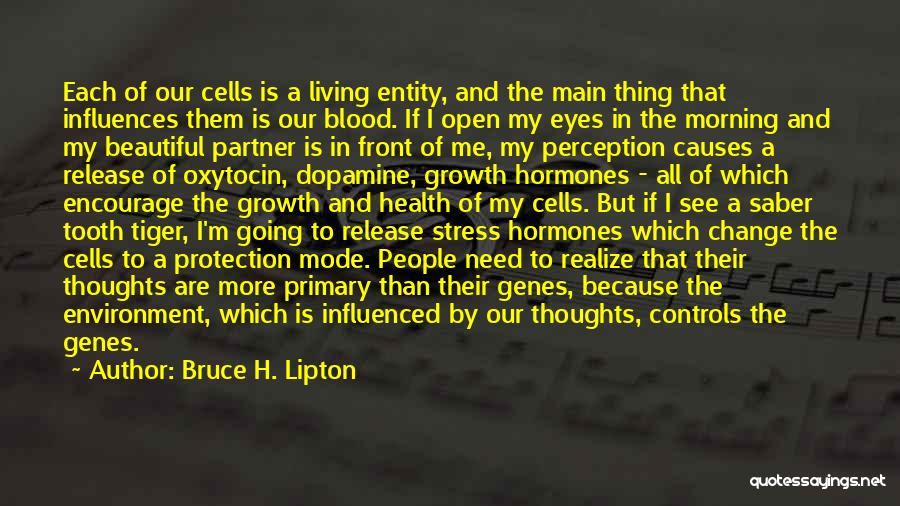 Causes Of Stress Quotes By Bruce H. Lipton