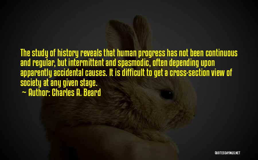 Causes Quotes By Charles A. Beard