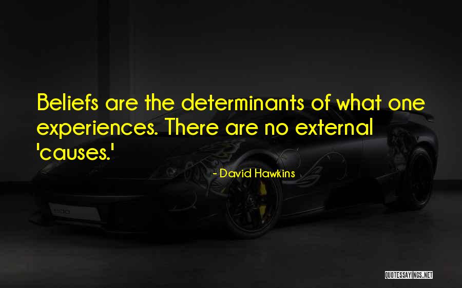 Causes Quotes By David Hawkins