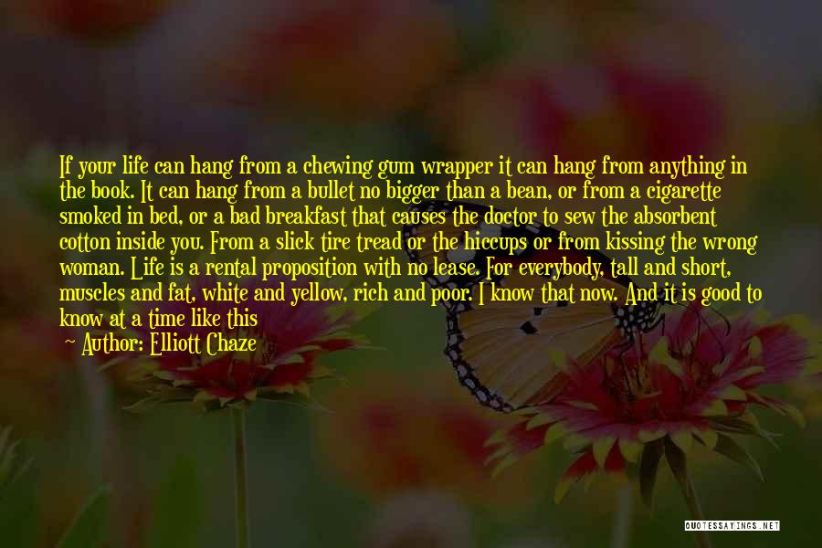 Causes Quotes By Elliott Chaze