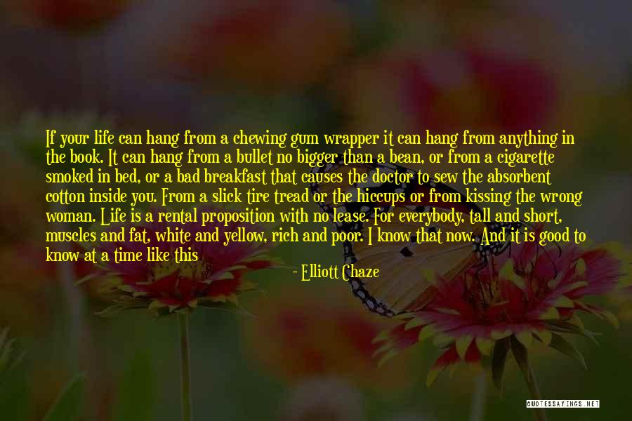 Causes Quotes By Elliott Chaze