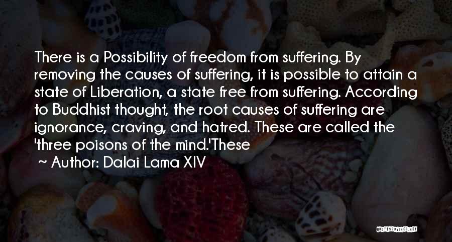 Causes Suffering Quotes By Dalai Lama XIV