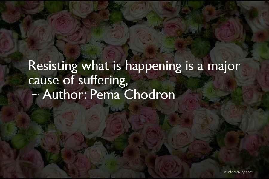 Causes Suffering Quotes By Pema Chodron
