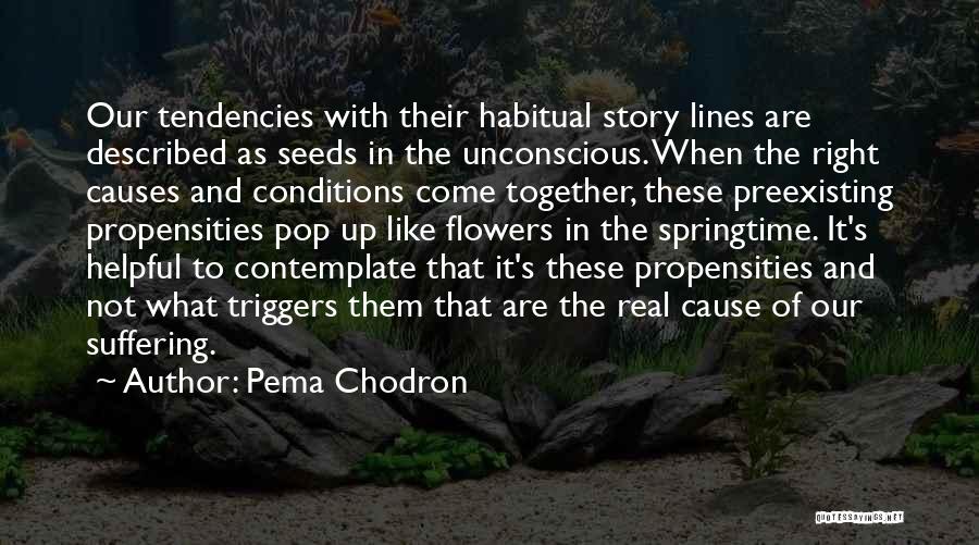 Causes Suffering Quotes By Pema Chodron