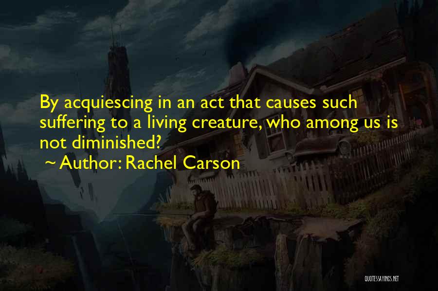 Causes Suffering Quotes By Rachel Carson