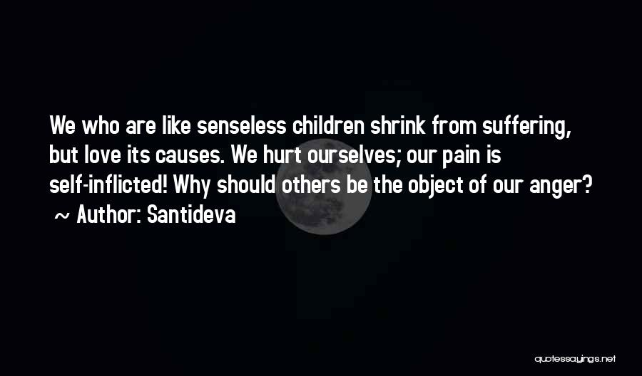 Causes Suffering Quotes By Santideva