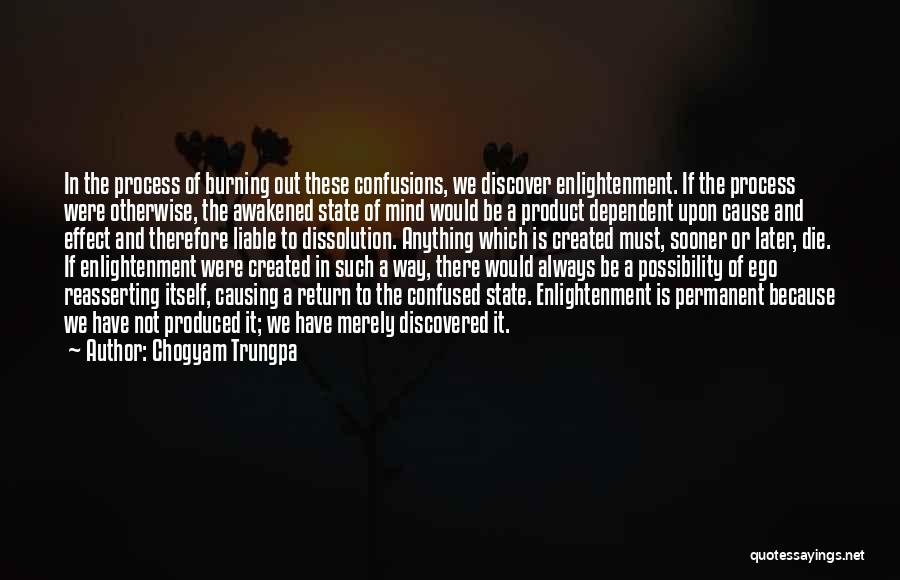 Causing Confusion Quotes By Chogyam Trungpa