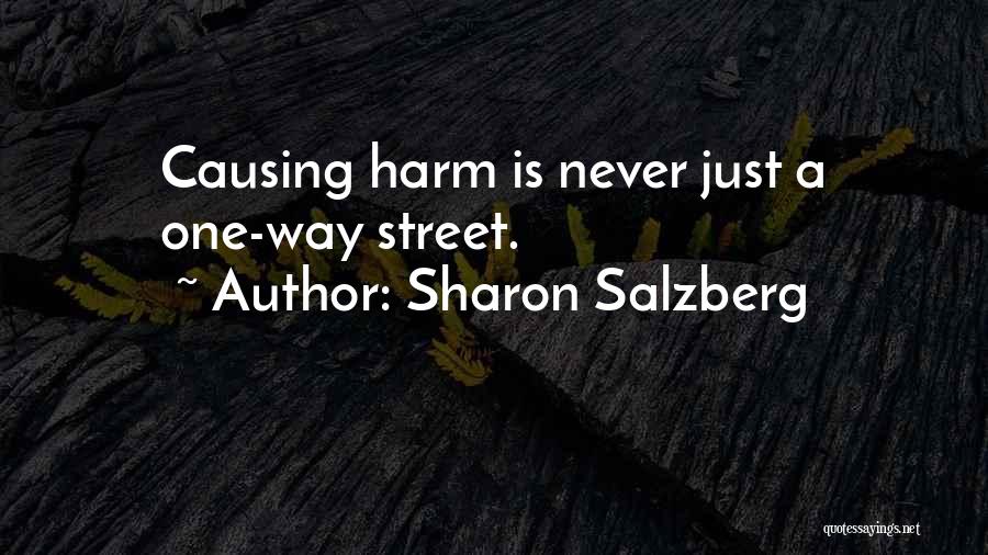 Causing Harm To Others Quotes By Sharon Salzberg