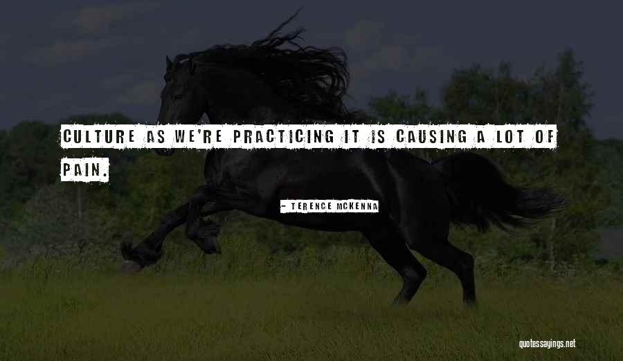 Causing Someone Pain Quotes By Terence McKenna Causing Someone Pain Quotes By Terence McKenna
