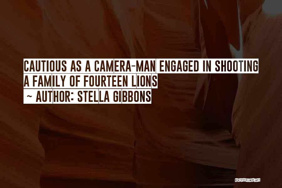 Cautious Man Quotes By Stella Gibbons