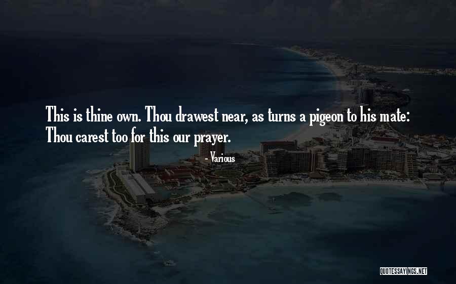 Cautivara Quotes By Various Cautivara Quotes By Various