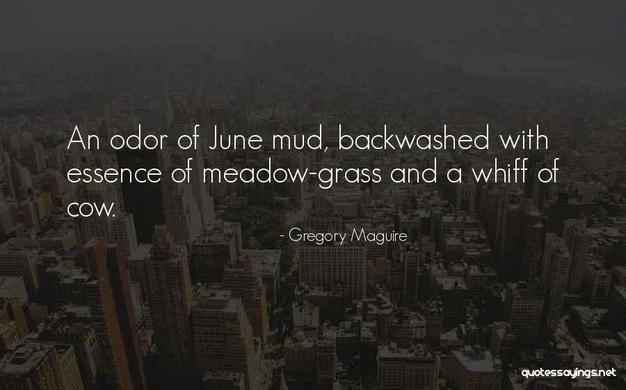 Cavadias Difficult Quotes By Gregory Maguire