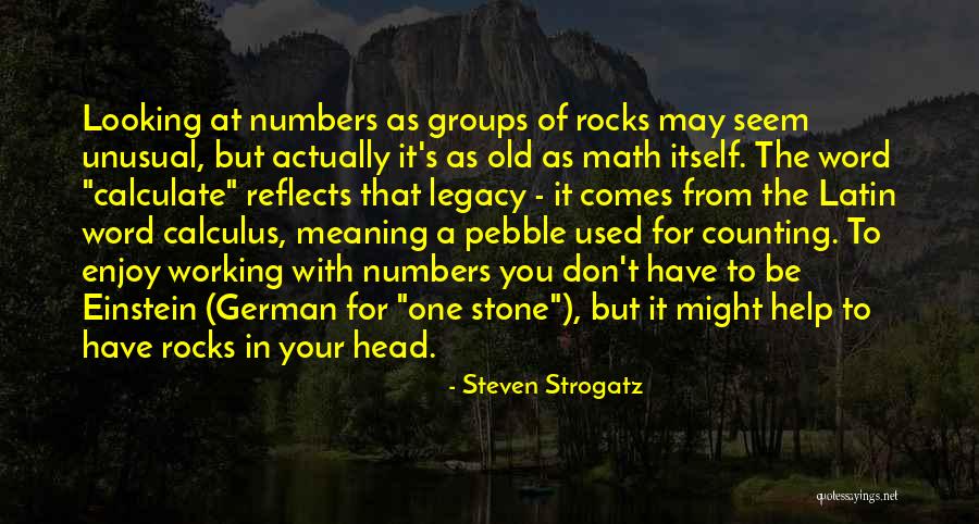Cavalero Nero Quotes By Steven Strogatz Cavalero Nero Quotes By Steven Strogatz