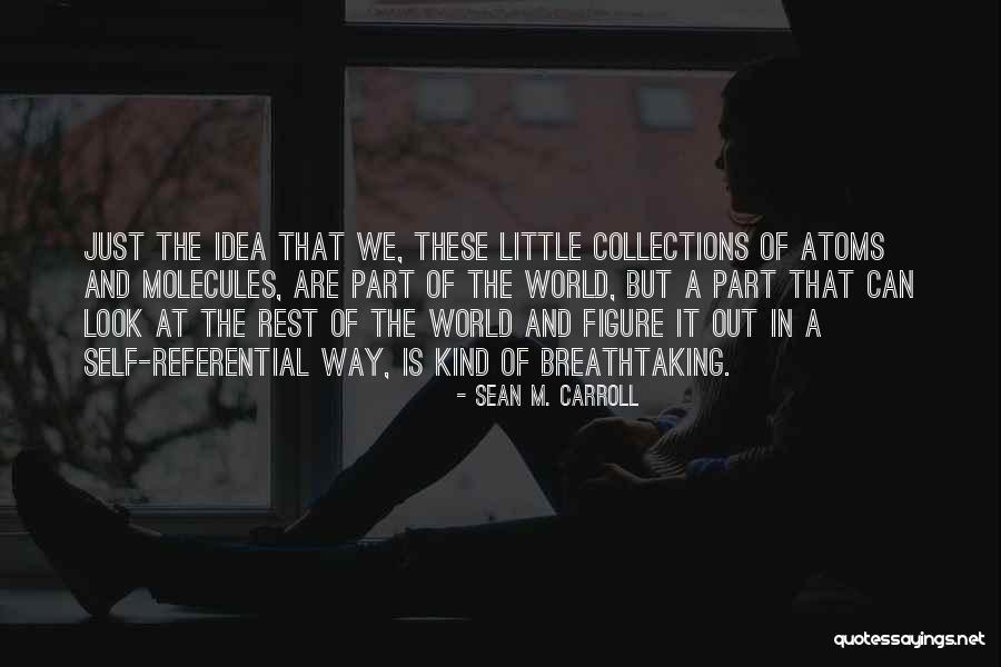 Cavalgada Invertida Quotes By Sean M. Carroll Cavalgada Invertida Quotes By Sean M. Carroll
