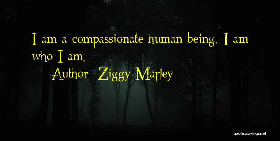 Cavallino Classic Quotes By Ziggy Marley