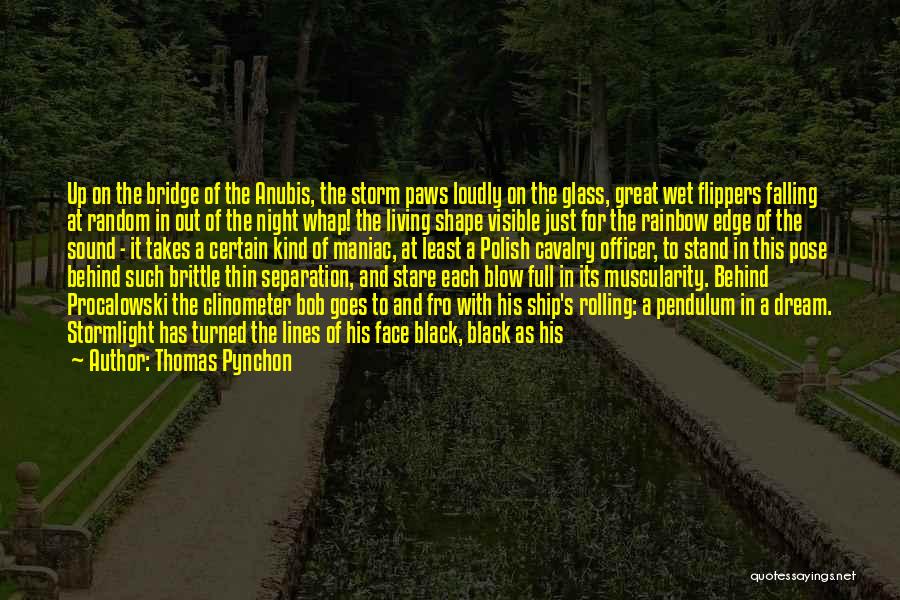 Cavalry Officer Quotes By Thomas Pynchon