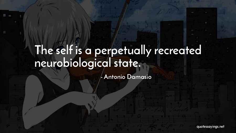 Cavaquinho Instrument Quotes By Antonio Damasio Cavaquinho Instrument Quotes By Antonio Damasio