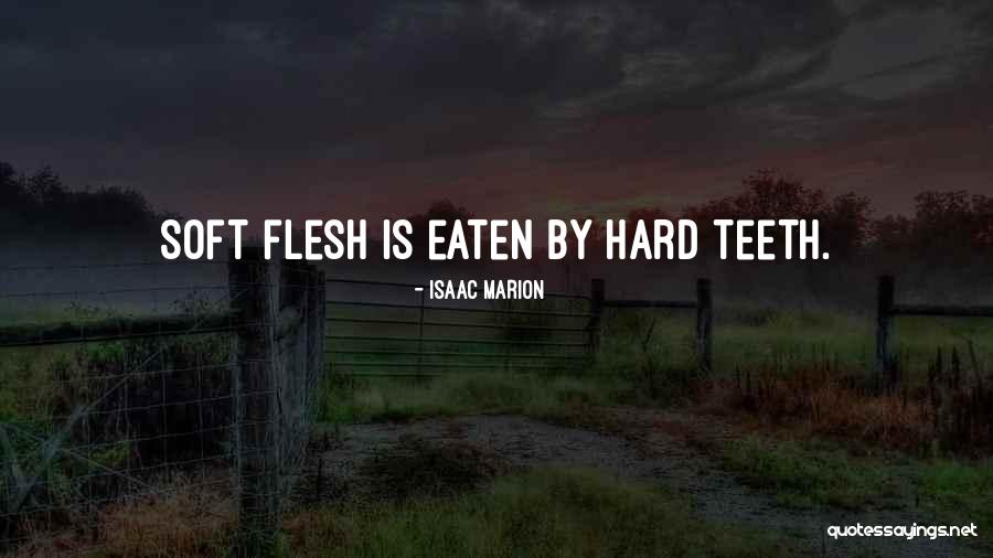 Cavaquinho Rozini Quotes By Isaac Marion Cavaquinho Rozini Quotes By Isaac Marion