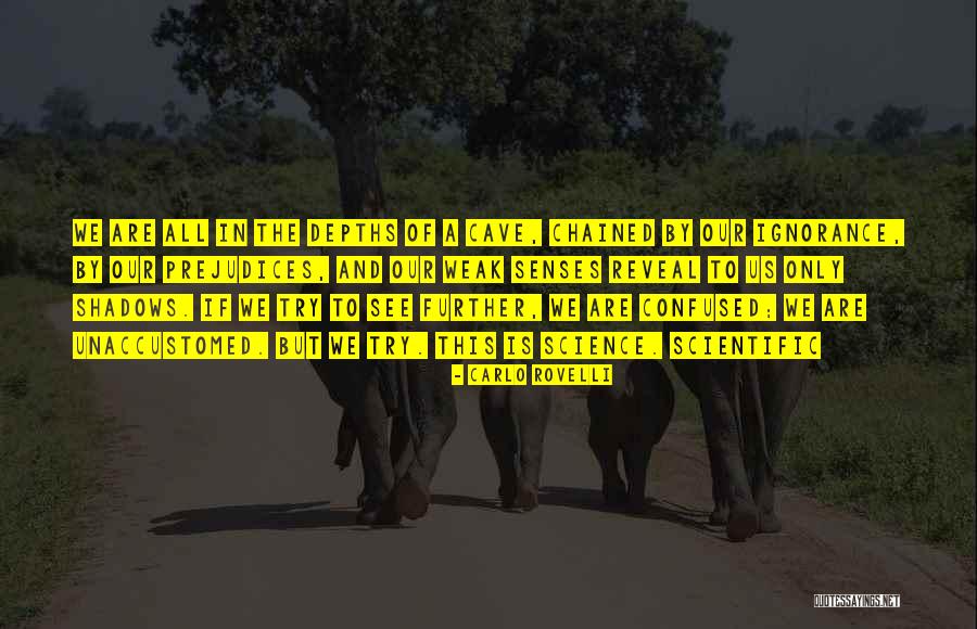 Cavasin For Concord Quotes By Carlo Rovelli Cavasin For Concord Quotes By Carlo Rovelli