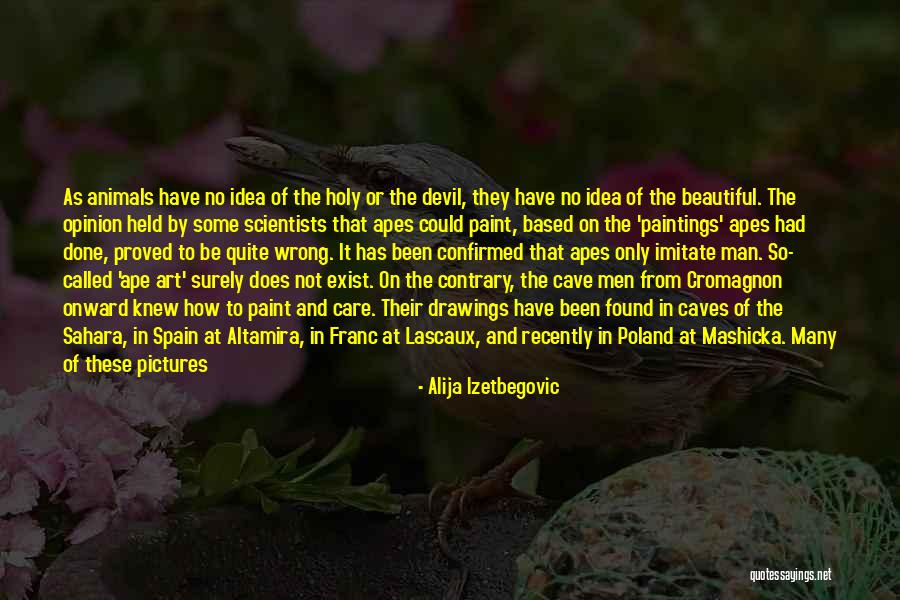 Cave Drawings Quotes By Alija Izetbegovic Cave Drawings Quotes By Alija Izetbegovic